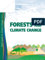 Forests and Climate Change