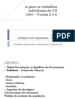 Temas Trabalhos de Grupo Cn8º 2 e 6