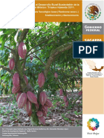 cacao_establecimiento.pdf