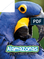 Catalogo de Aves Mexicanas