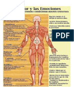 El Dolor y Las Emociones