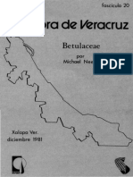 Flora de Veracruz Betulaceae