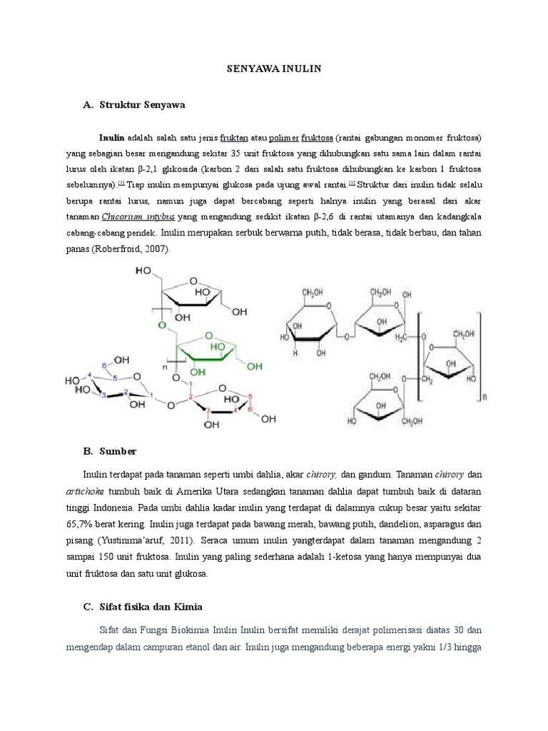 Struktur dan Sumber Inulin | PDF