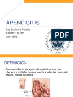 Expo Apendicitis