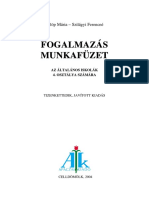 Fogalmazas Munkafuzet 4.o PDF