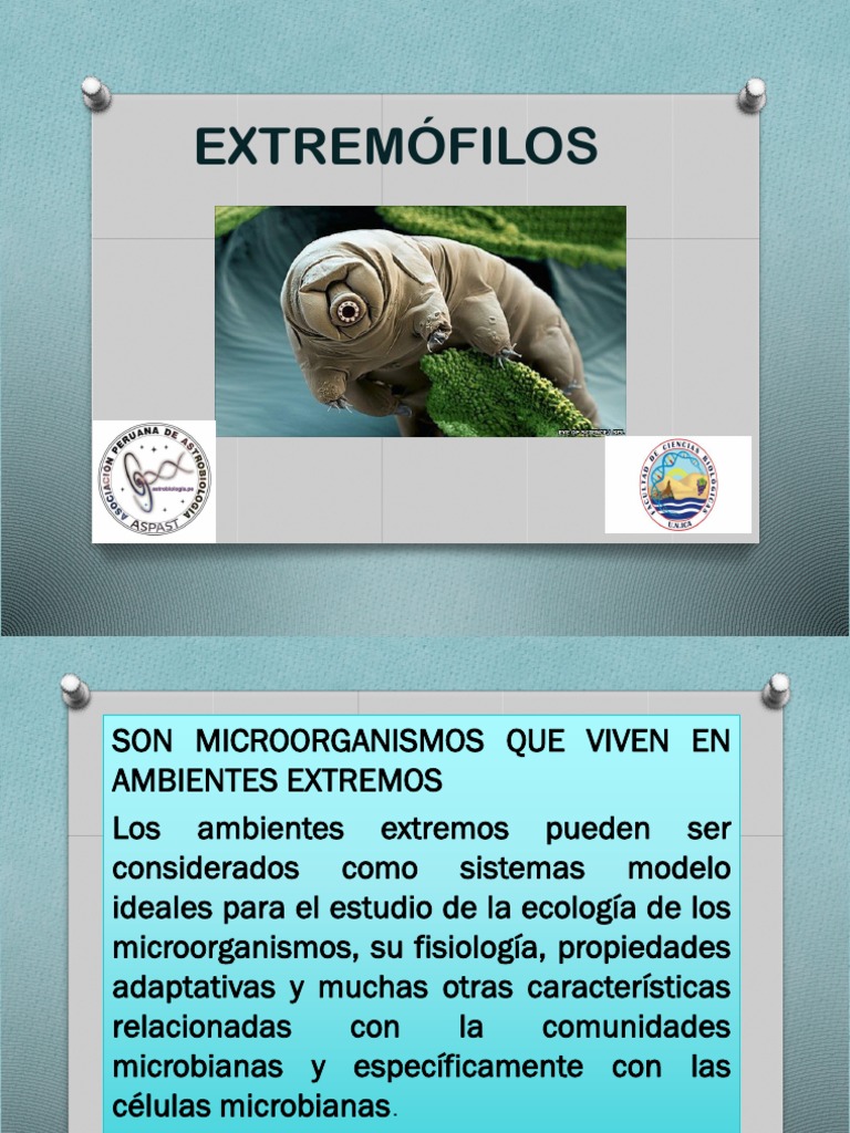 Tipos de extremófilos y sus características | PDF | Archaea | Cloruro ...