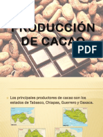 Diapositivas Trabajo Final Cacao