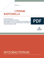 C9 Micobacterium Bartonella