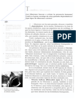 temibles tiburones.pdf