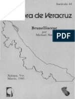 Flora de Veracruz Brunelliaceae