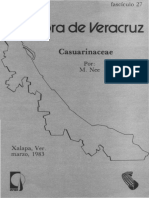 Flora de Veracruz Casuarinaceae