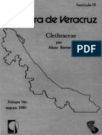 Flora de Veracruz Clhetraceae