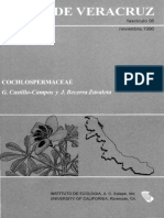 Flora de Veracruz Cochlospermaceae