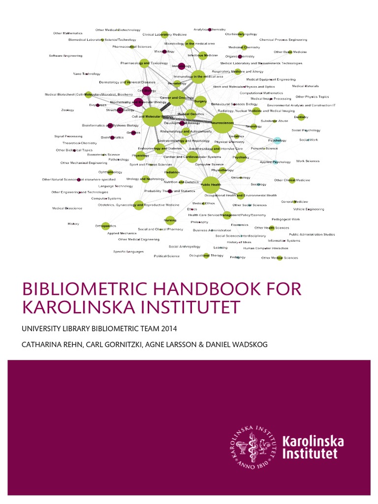 Ki thesis preliminary review image