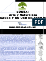 Desarrollo de Raices Bonsai-Dnoscar
