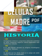 Cel Madre Herika