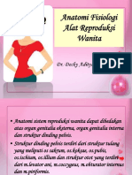 Anatomi Fisiologi Sistem Reproduksi Wanita