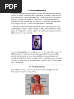 Sistema respiratório