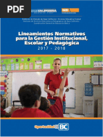 10 8 17 Lineamientos Ngie Isep 2017-2018