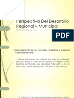 Perspectiva Del Desarrollo Regional y Municipal