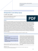 Perioperative Acute Kidney Injury