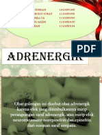 Adrenergik Farkol 1 PPT Rev