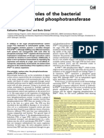 Regulatory Roles of The Bacterial Nitrogen-Related Phosphotransferase System