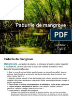padurea de mangrove