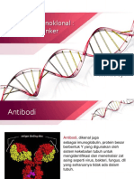 Antibodi Monoklonal