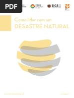 Como Lidar Com Um Desastre Natural