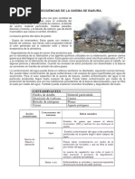 Causas y efectos de la quema de basura | PDF | Residuos | Contaminación