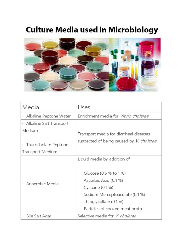 Culture Media PDF Growth Medium Gram Negative Bacteria