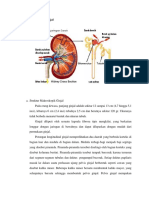 ANATOMIFISIOLOGI GINJAL