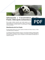 Oso Panda