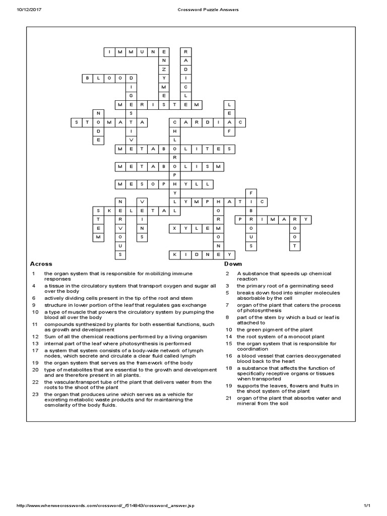 crossword-puzzle-answers-circulatory-system-plants