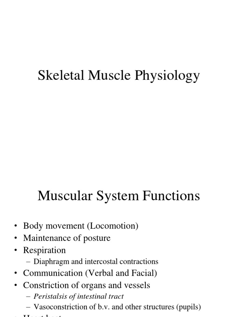 Skeletal Muscle | Download Free PDF | Muscle Contraction | Muscle