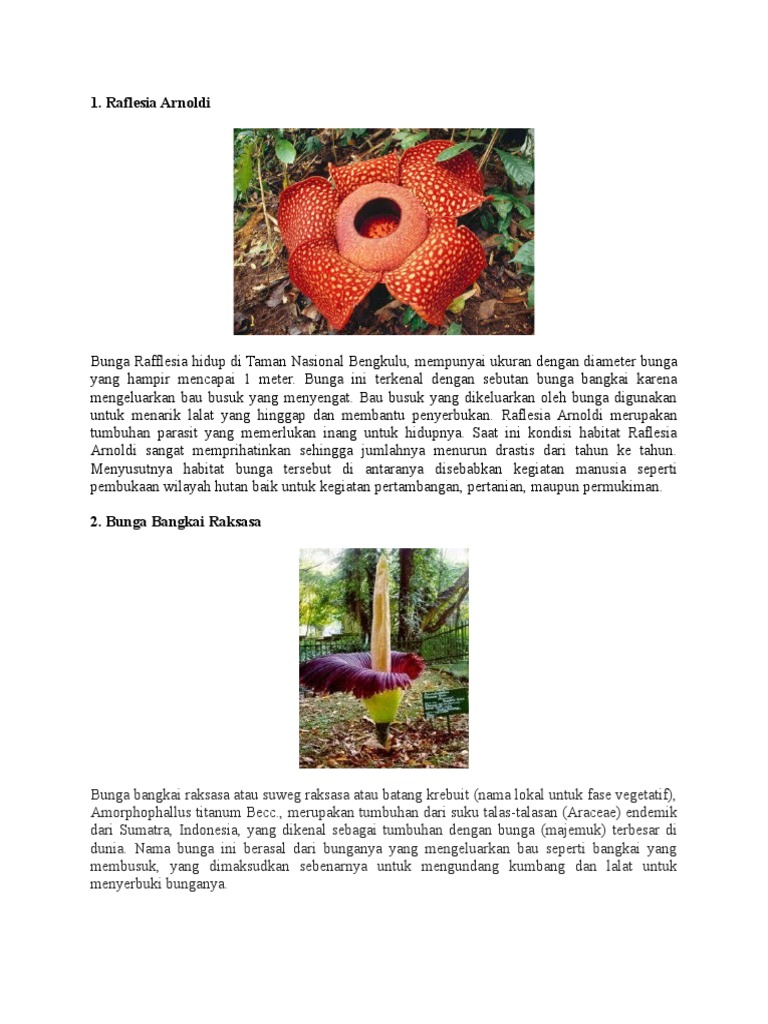 10 Tumbuhan Langka Di Indonesia Pdf