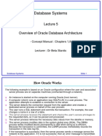 Database Systems: Overview of Oracle Database Architecture