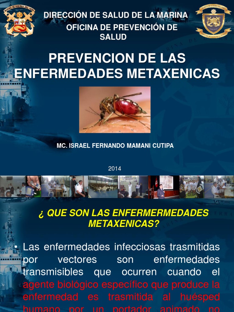 ENFERMEDADES METAXENICAS GENERALIDADES | Fiebre amarilla | Malaria
