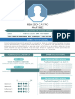 Curriculum Vitae Nemesio