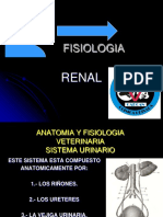 Fisiologiarenal 110525204539 Phpapp01