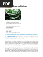 Download Klasifikasi Tanaman Binahongdocx by Rika Meidiana M SN361538691 doc pdf