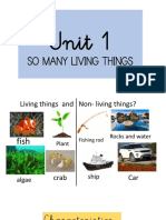 Unit 1: So Many Living Things