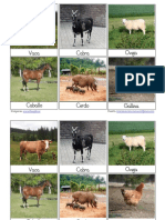 Tarjetas 3-Partes Animales Granja PDF