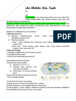 Rangkuman Bakul Silvi Prof Suryo