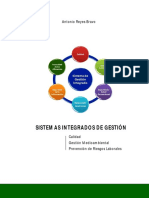 LECTURA 01 - Sistemas Integrados Gestión.pdf