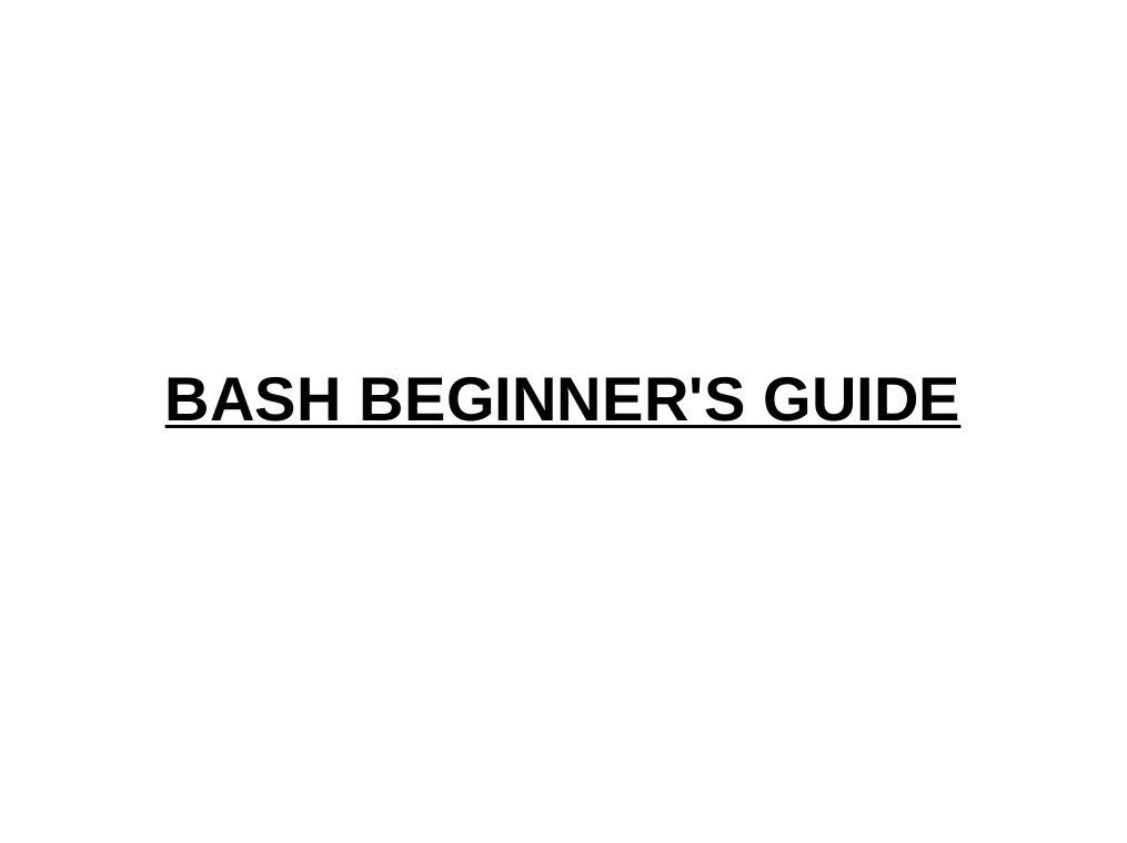Bash Beginners Guide | PDF
