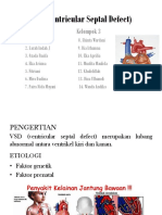 VSD Defek Septum Ventricular