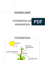 Anabolism e