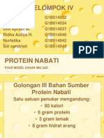 Food Model Protein Nabati